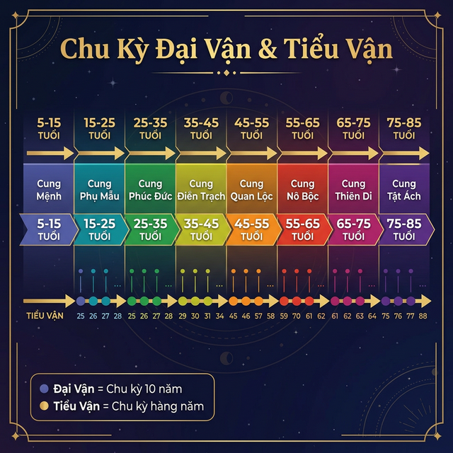 Biểu đồ Đại Vận và Tiểu Vận Tử Vi - Chu kỳ vận mệnh 10 năm và hàng năm