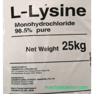 Lysine 2