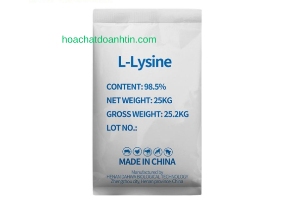 Lysine 3