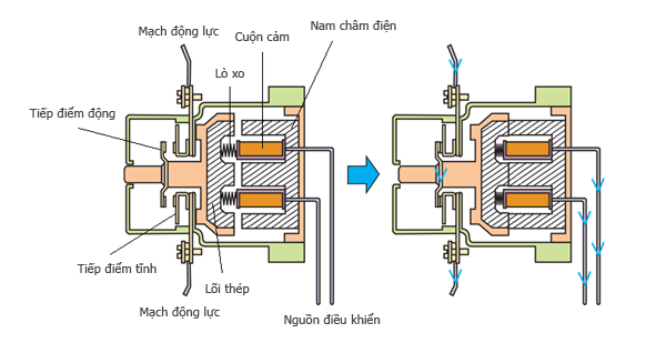 Hình minh họa cấu tạo và nguyên lý hoạt động của công tắc tơ, bao gồm tiếp điểm động, tiếp điểm tĩnh, cuộn cảm, lò xo, lõi thép, mạch động lực và nam châm điện