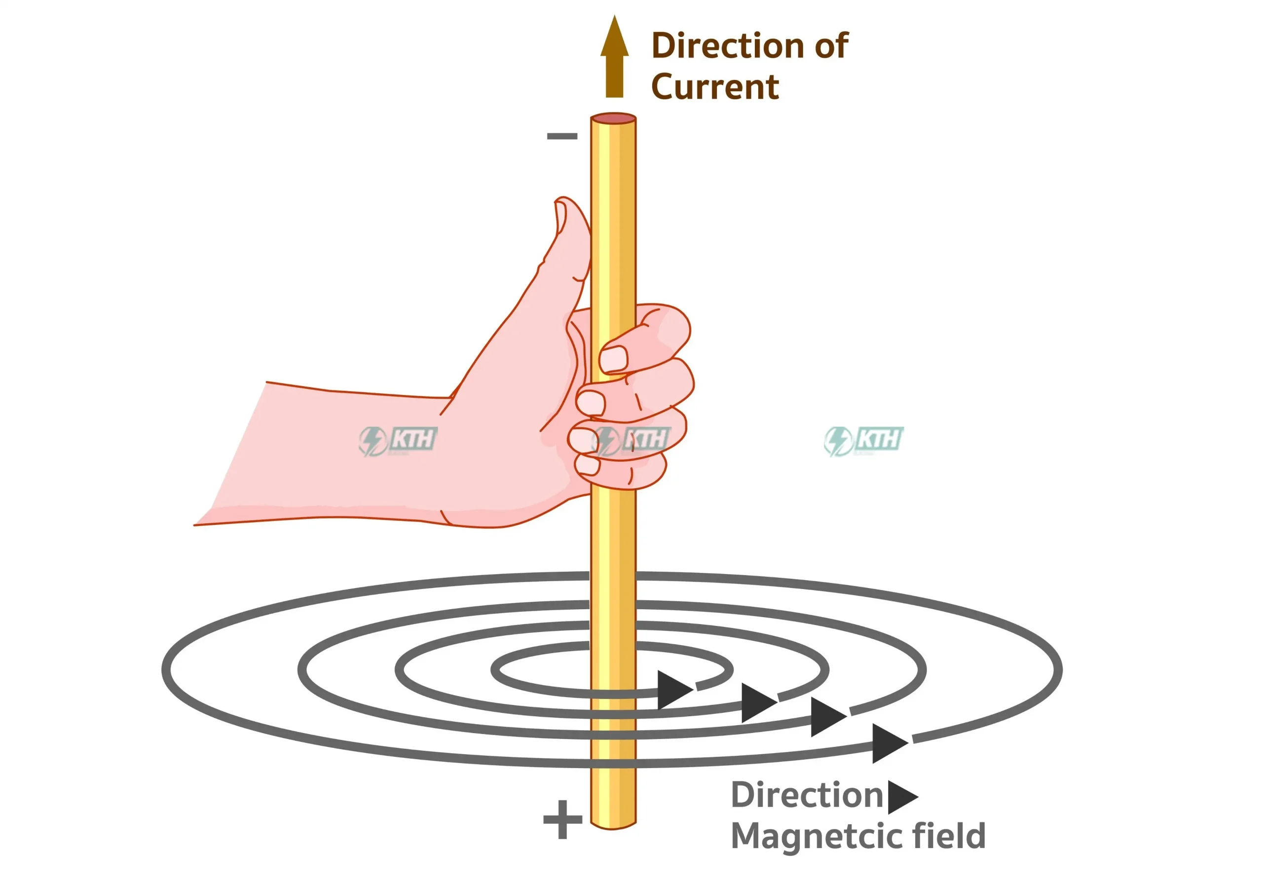 Bản chất vật lý và Mối liên hệ với Lực từ 