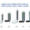 Chống Sét Van (LA) 24kV, 35kV Chính Hãng