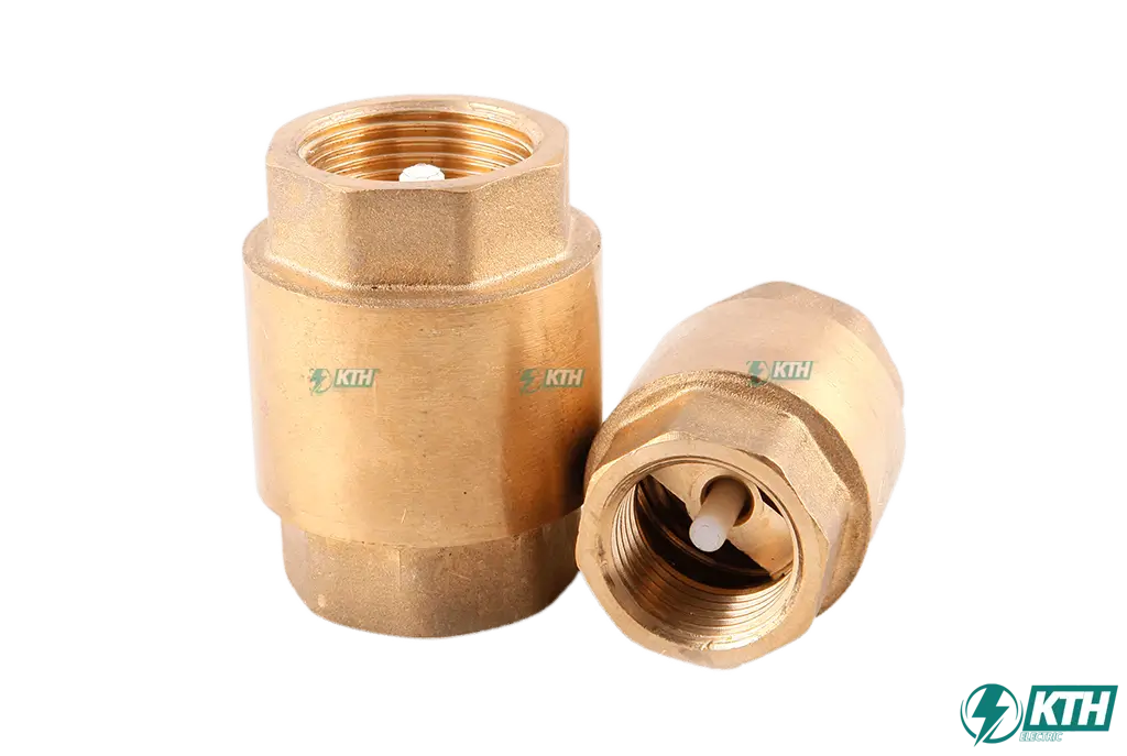 Van 1 chiều (Check Valve): Hoạt động một chiều, Cấu tạo, Ứng dụng 3 Van lò xo