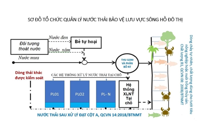 Sơ đồ cấu tạo hệ thống cống thoát nước đô thị